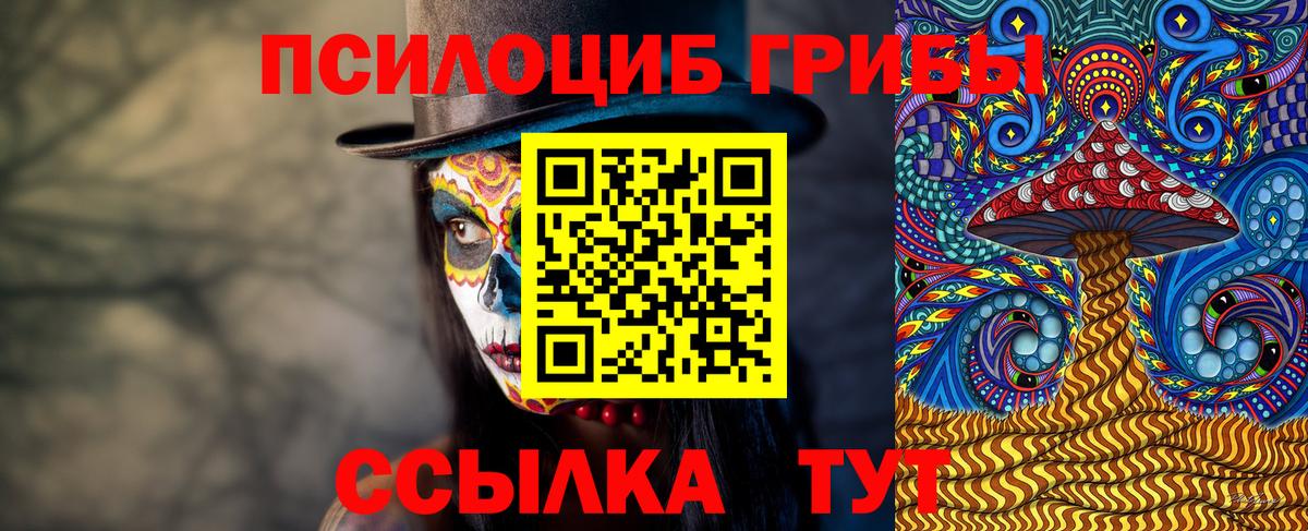 наркотики  Галлюциногенные грибы Psilocybine cubensis  Вход с VPN  Обь 