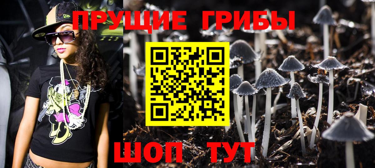 Псилоцибиновые грибы прущие грибы Обь